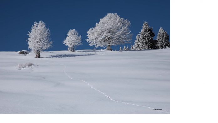 Immagine_Notiziario_Dicembre_2019_Natale